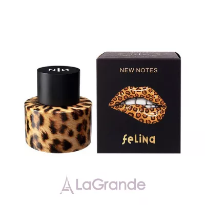 New Notes Felina 