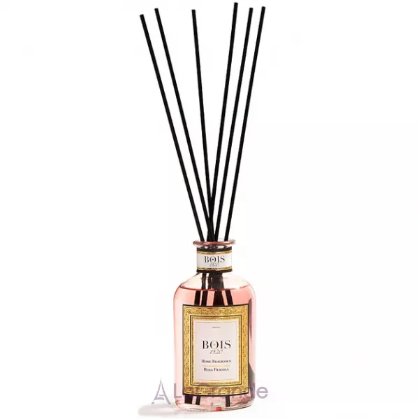 Bois 1920 Rosa Fragola ������������ ��� ����