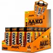 Amix AAKG Shot 4000 mg    