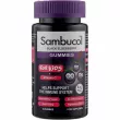 Sambucol Black Elderberry Gummies For Kids + Vitamin C    