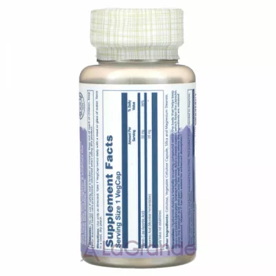 Solaray Enteric-Coated Hyaluronic Acid 20 mg ĳ  