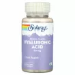 Solaray Enteric-Coated Hyaluronic Acid 20 mg ĳ  