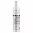 Milk_Shake Integrity Nourishing Conditioner         
