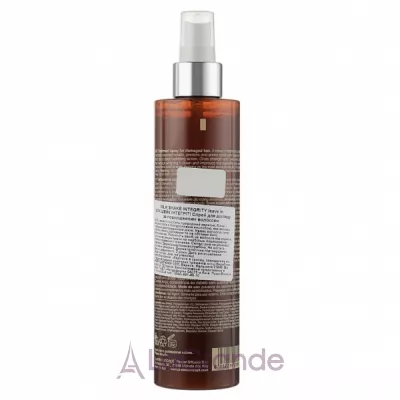 Milk_Shake Integrity Leave In Treatment Spray      