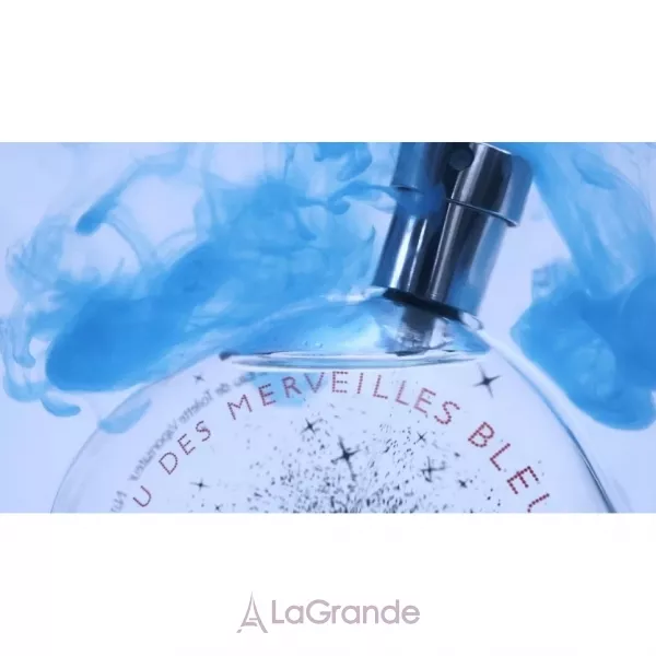 Hermes Eau des Merveilles Bleue ��������� ���� (������)