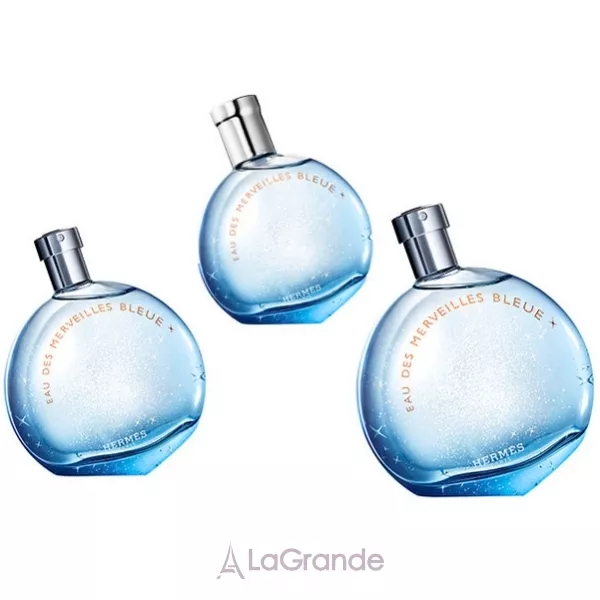 Hermes Eau des Merveilles Bleue ��������� ���� (������)