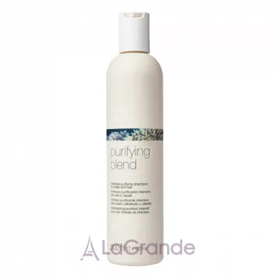 Milk_Shake Purifying Blend Shampoo     
