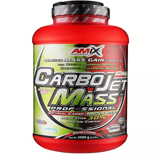 Amix CarboJet Gain Mass Professional Vanilla ������ 