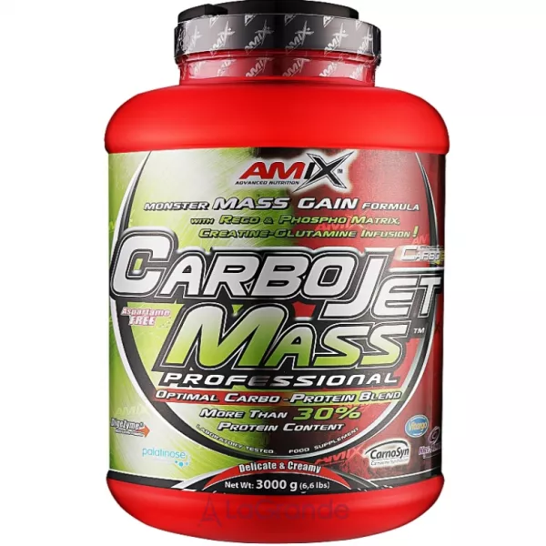 Amix CarboJet Gain Mass Professional ������ 