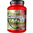 Amix CarboJet Gain Mass Professional  