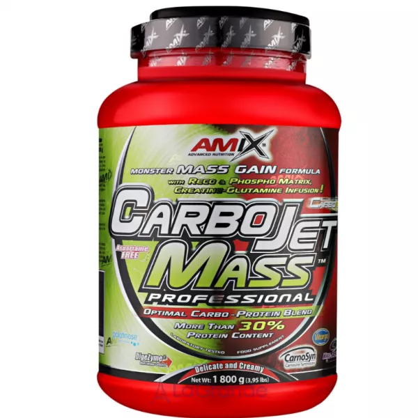 Amix CarboJet Gain Mass Professional Chocolate ������ 