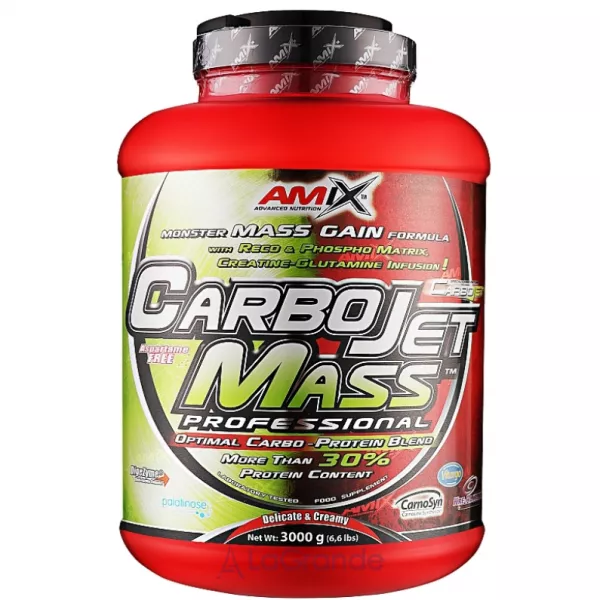 Amix CarboJet Gain Mass Professional Chocolate ������ 