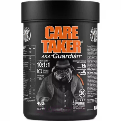 Zoomad Labs Care Taker Orange    