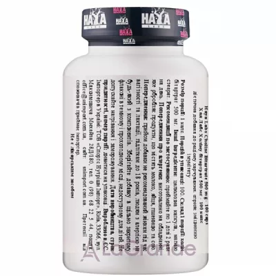 Haya Labs Choline Bitartrate 500 mg   
