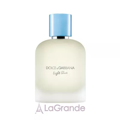 Dolce & Gabbana Light Blue Pour Homme Eau de Toilette 2025  