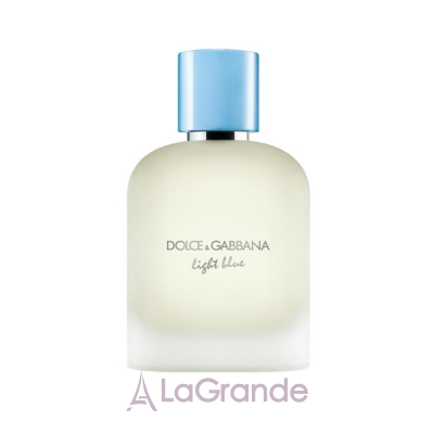 Dolce & Gabbana Light Blue Pour Homme Eau de Toilette 2025   ()