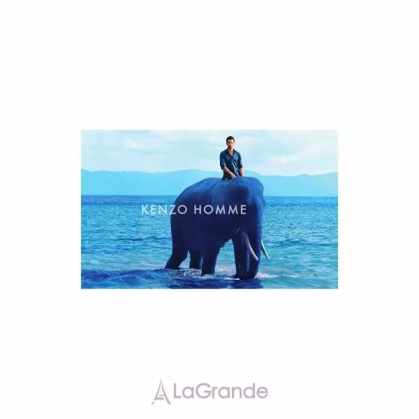 Kenzo Homme �������� ����
