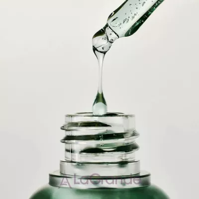 Arencia Holy Hyssop Serum 12     10%  