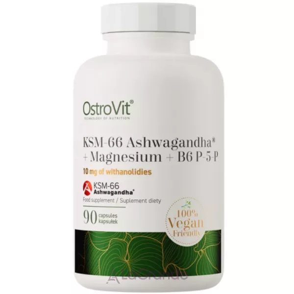 OstroVit KSM-66 Ashwagandha + Magnesium + B6 P-5-P �������� ������ ��������� + ������ + ³���� �6
