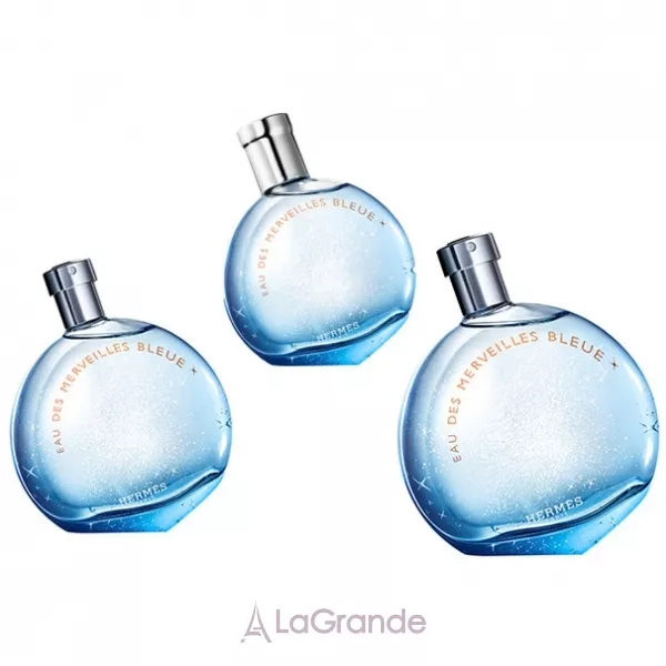 Hermes Eau des Merveilles Bleue ��������� ����