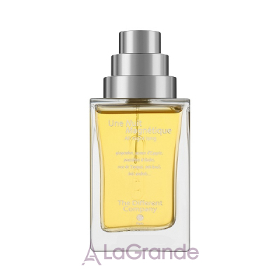 The Different Company Une Nuit Magnetique   ()