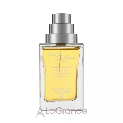 The Different Company Une Nuit Magnetique   ()