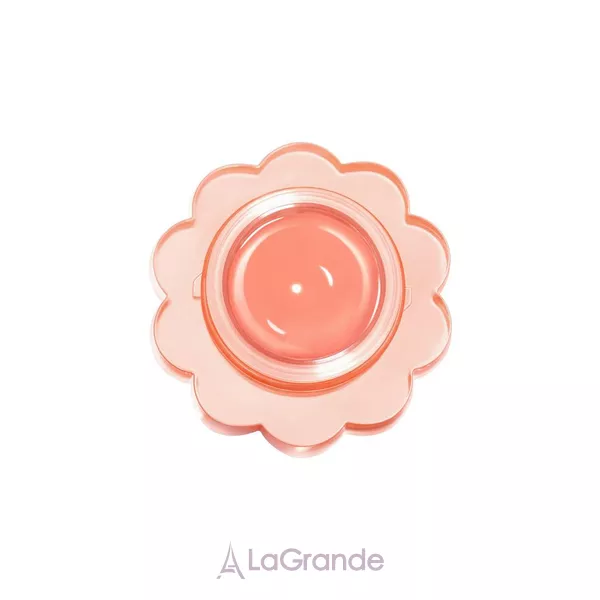 Dasique Chewing Glow Pot �������� ����� ������