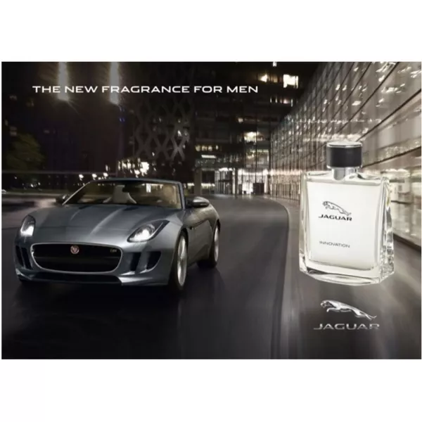 Jaguar Innovation �������� ���� (������)
