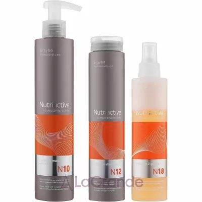 Erayba Nutriactive Advanced Nourishing ����� ��� ����� (shmp/250ml + spray/200ml + mask/250ml)