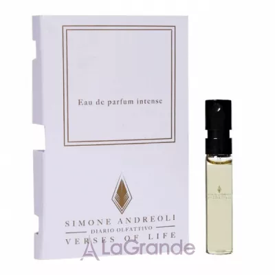 Simone Andreoli Tulum Junglescape  