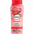 Balea Farbglanz Shampoo       