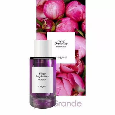 Elixir Prive Fleur Orpheline  