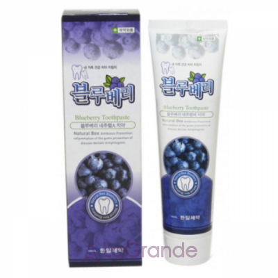 Hanil Blueberry Toothpaste     