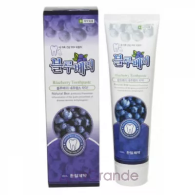 Hanil Blueberry Toothpaste     