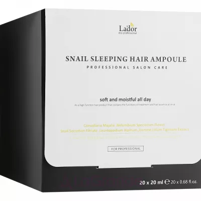 La'dor Snail Sleeping Hair Ampoule ͳ    