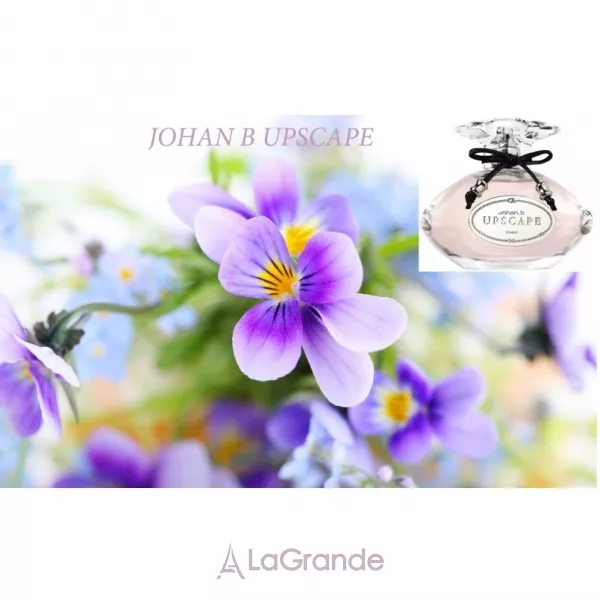 Johan B Upscape ��������������� ���� (������)