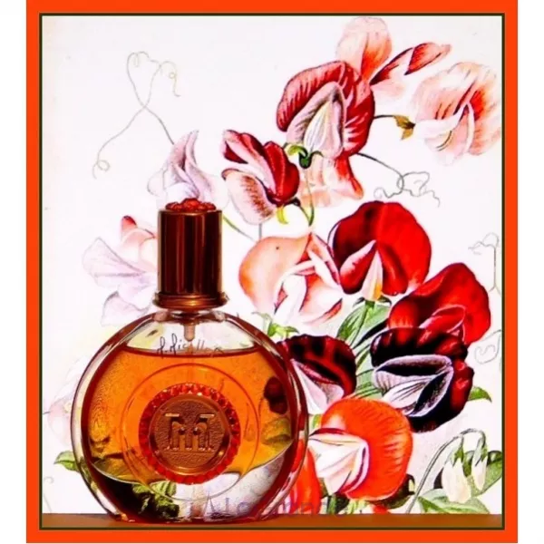 M. Micallef Floral ��������������� ���� (������)