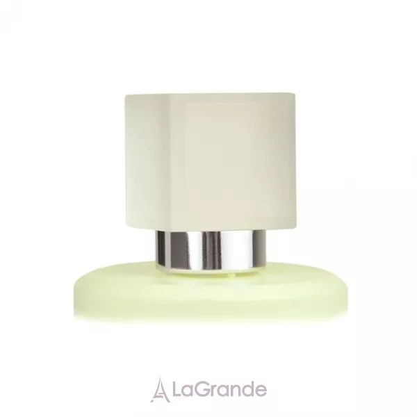 Chanel Chance Eau Fraiche ���� ��� ����