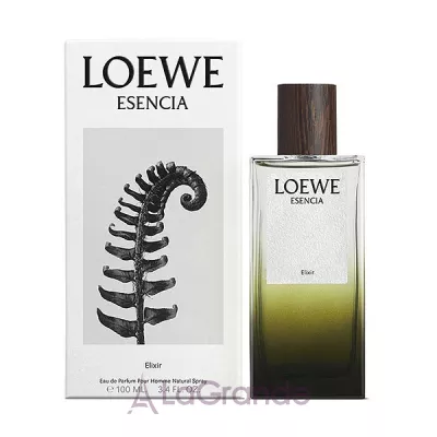 Loewe Esencia Elixir  