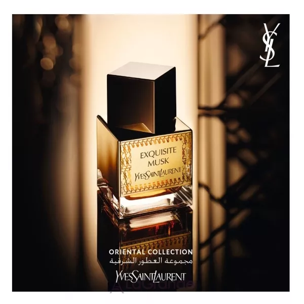 Yves Saint Laurent Exquisite Musk ����������� ���� (������)