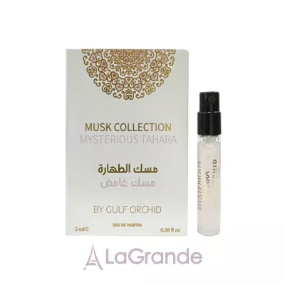 Gulf Orchid Mysterious Tahara  