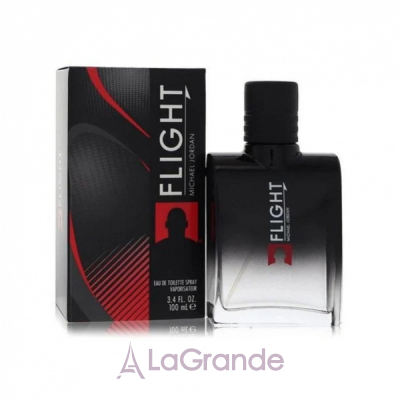 Michael Jordan Flight  