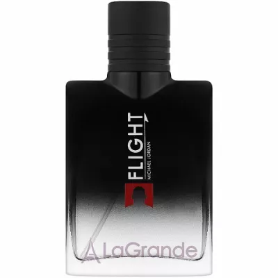 Michael Jordan Flight  