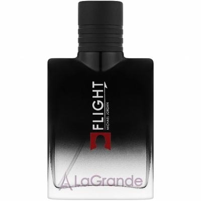 Michael Jordan Flight   ()