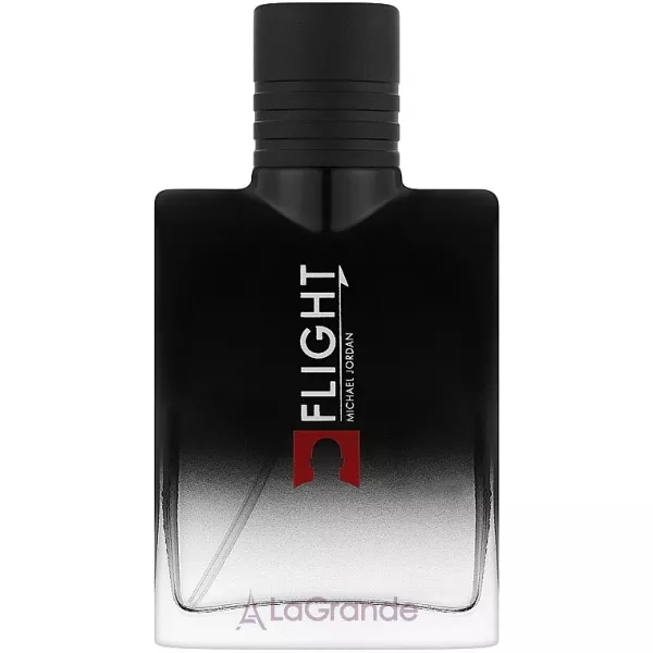 Michael Jordan Flight ��������� ���� (������)