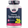 Haya Labs Tribulus Terrestris 500 mg 90pcs