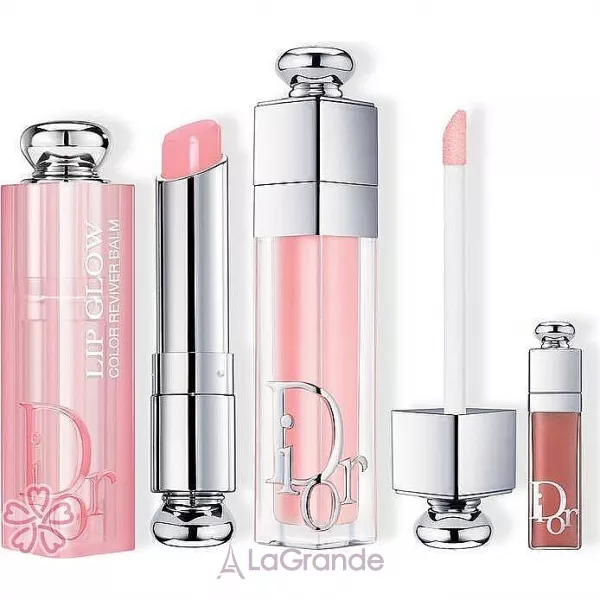 Christian Dior Addict ���� (lip/balm/6ml + lip/gloss/3.2g + lip/gloss/2ml)