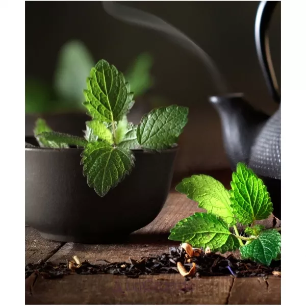 Masque Russian Tea ��������������� ����
