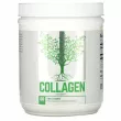 Universal Nutrition Collagen 300g