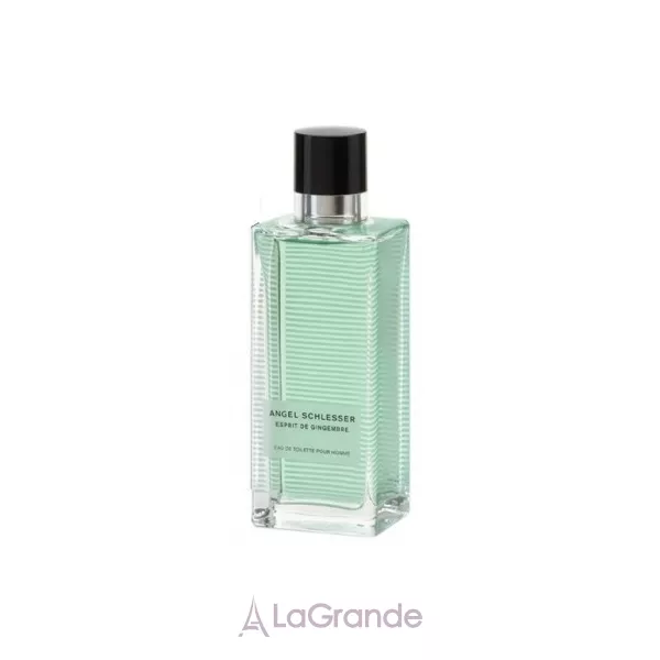 Angel Schlesser Esprit Gingembre Pour Homme ��������� ���� (������)
